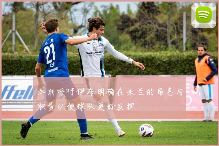 加利呼吁伊布明确在米兰的角色与职责以便球队更好发挥