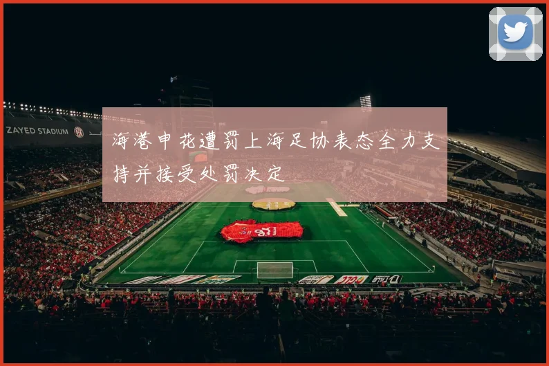 海港申花遭罚上海足协表态全力支持并接受处罚决定